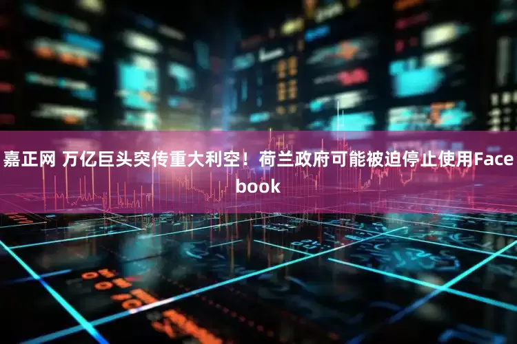 嘉正网 万亿巨头突传重大利空！荷兰政府可能被迫停止使用Facebook