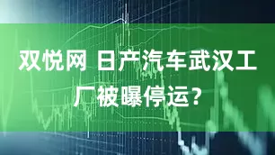 双悦网 日产汽车武汉工厂被曝停运？