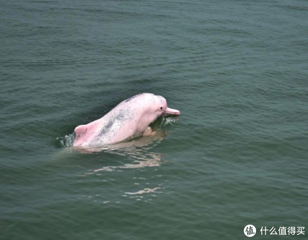 大御优配 广西旅游推荐，除南宁桂林外这些地方也值得一去