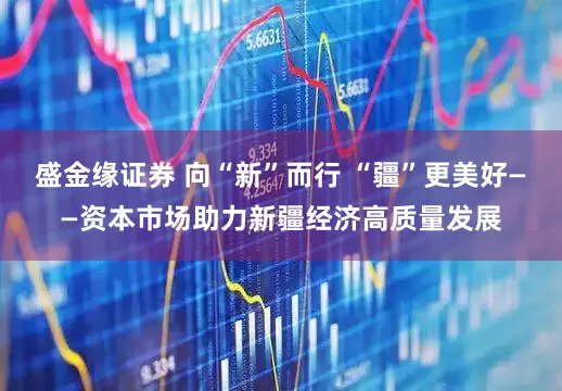 盛金缘证券 向“新”而行 “疆”更美好——资本市场助力新疆经济高质量发展