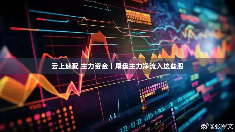 云上速配 主力资金丨尾盘主力净流入这些股